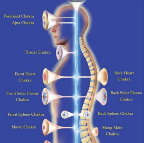 Pranic Healing Session